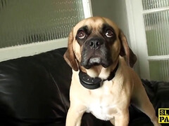 イギリス人, 浮気する, 下着, オーガズム, ピアス, スパンキング, ストッキング, タトゥー