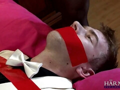 Anaal, Kont, Grote kont, Rondborstig, Dominante vrouw, Hardcore, Ondergoed, Moeder die ik wil neuken