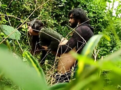 Malayali Couple Wild Outdoor Sex in Forest - Desi Village MMS 4K