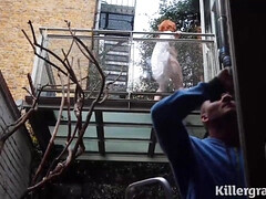 Anal, Gros cul, Gros seins, Sucer une bite, Plantureuse, Mature, Seins naturels, Nénés