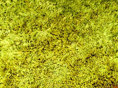 In den arsch, Grosse titten, Vollbusig, Oma, Masturbation, Solo, Titten, Spielzeuge