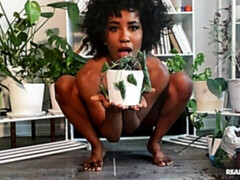 Doigter, Béant, Poilue, Branlette thaïlandaise, Solo, Adolescente, Jouets, Webcam