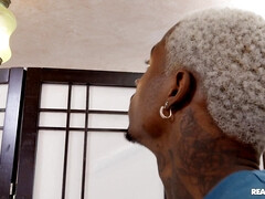 Culo grande, Negro, Mamada, Estilo perrito, Sexo duro, Besar, Coño, Tatuaje