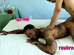 Xxx, gay-facial, faggot