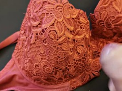 Here I am jerking off to my wifes hot red lace bra 80 D