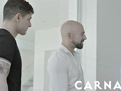 Arschlecken, Grosser schwanz, Blondine, Blasen, Schwul, Latina, Muskel, Tätowierung