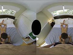 3 dimensionaal, Anaal, Gezichtspunt, Realiteit, Shemale