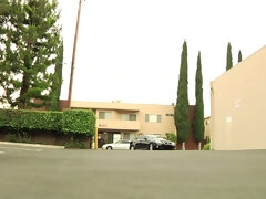 Arsch, Grosse titten, Blasen, Braunhaarige, Spermaladung, Hd, Milf, Pornostars