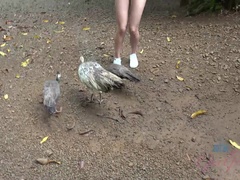 素人, ビーチ, 指いじり, 彼女, アウトドア, ハメ撮り, オマンコ, 剃毛