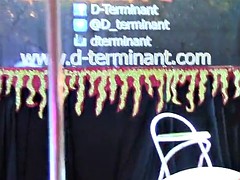 Lieveling, Bruinharig, Spaans, Speelgoed