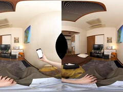 日本人, ハメ撮り