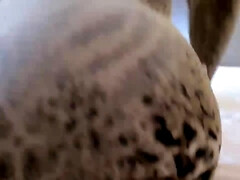 Verga grande, Tetas grandes, Morena, Gordita, Médico, Casero, Lesbiana, Chorro