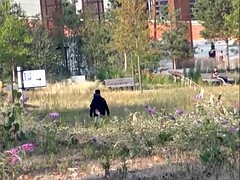 Tussi, Blondine, Fingern, Flashen, Masturbation, Im freien, Muschi, Unter dem rock