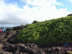 Amateur, Playa, Mamada, Besar, Pequeña, Coño, Fumando, Tetas