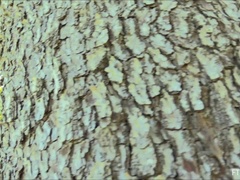 ズームショット, ダンス, エクストリーム, 指いじり, オナニー, オーガズム, 公共, 一人