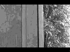 Tussi, Grosse titten, Blasen, Vollbusig, Spermaladung, Kehlenfick, Hardcore, Natürlichen titten