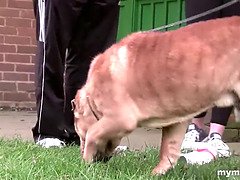 Большие сиськи, Пальцем, Ласковые ручки, Лизание, Милф, Мамочка, Киски, Тату