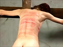 Bondage discipline sadomasochisme, Mooi, Rondborstig, Schattig, Hardcore, Tepels, Billekoek, Tieten likken