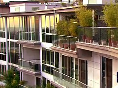 グループ, 毛深い, スインガー