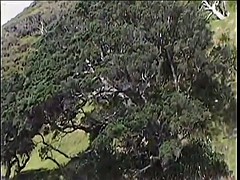 Sexo duro, Al aire libre