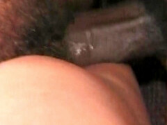 Gros cul, Gros seins, Sucer une bite, Brunette brune, Tir de sperme, Queue