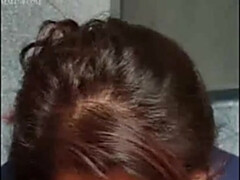 Bruinharig, Hd, Indisch