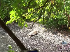 Blondine, Fingern, Flashen, Freundin, Behaart, Im freien, Pov, Muschi