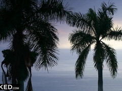 Mamada, Morena, Francés, Interracial, Lamidas, Pequeña, Coño, Tetas