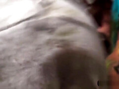 Amateur, Mamada, Tetona, Grupo, Hd, Pezones, Coño, Adolescente