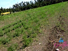 Жопа, Большая жопа, От первого лица, Киски, Молоденькие, Сиськи