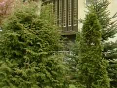 Französisch, Gruppe