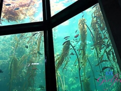 Amateur, Anal, Gros cul, Sucer une bite, Éjaculation interne, Doigter, Petite amie, Rasée