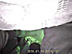 Enthousiasteling, Lieveling, Universiteit