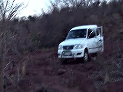 Gruppe, Im freien, Flotter dreier