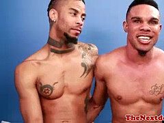 Любители, Черные, Черненькие, Геи, Межрасовый секс, Тату