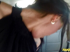 Bruinharig, Auto, Hd