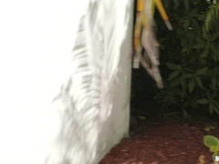 アメリカ人, 浴室, バック, なめる, アウトドア, ピアス, ハメ撮り, タトゥー