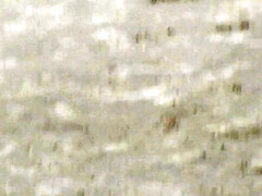 素人, デカ尻, デカパイ, 自家製, 淫乱熟女, 自然山雀, アウトドア, 公共