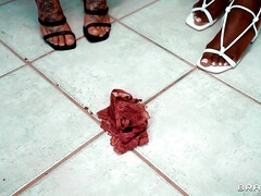 Kont, Grote lul, Grote mammen, Pijpbeurt, Hardcore, Pornster, Kut duiken, Tieten likken