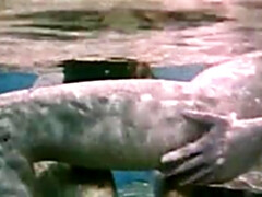 Секс без цензуры, Оргии, Винтаж