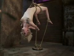 Bondage domination sadisme masochisme, Bondage, Domination, Doigter, Humiliation, Punition