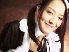 Asiatique, Lactation, Domestique