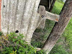 Sadomasoquismo, Despelote, Hd, Humillación, Al aire libre, Público, Castigada, Tetas