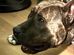 Karen Lancaume - double penetration au bowling