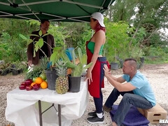 Arsch, Tussi, Grosser arsch, Grosse titten, Blasen, Hardcore, Muschi, Titten