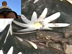 TOILET FOR PARTYGIRLS