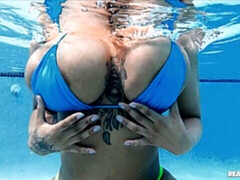 Большая жопа, Большой член, Большие сиськи, Минет, Собачьи, Черненькие, Межрасовый секс