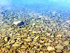 Leie, Strand, Blasen, Hundestellung, Selbstgemacht, Öffentlich, Muschi, Eng