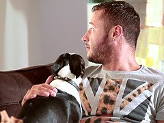 Gros seins, Brunette brune, Hd, Criant