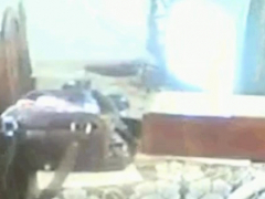 Enthousiasteling, Bruinharig, Rijpe lesbienne, Softcore pornografie, Alleen, Webcamera